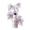 Bottle of Crème de Cassis de Dijon Maison Briottet, liqueur 20% ABV, 50cl, with an illustration of blackcurrant leaves