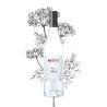 Bottle of Maison Briottet Dill Liqueur, 18% ABV, 70cl, with an illustration of dill on the background