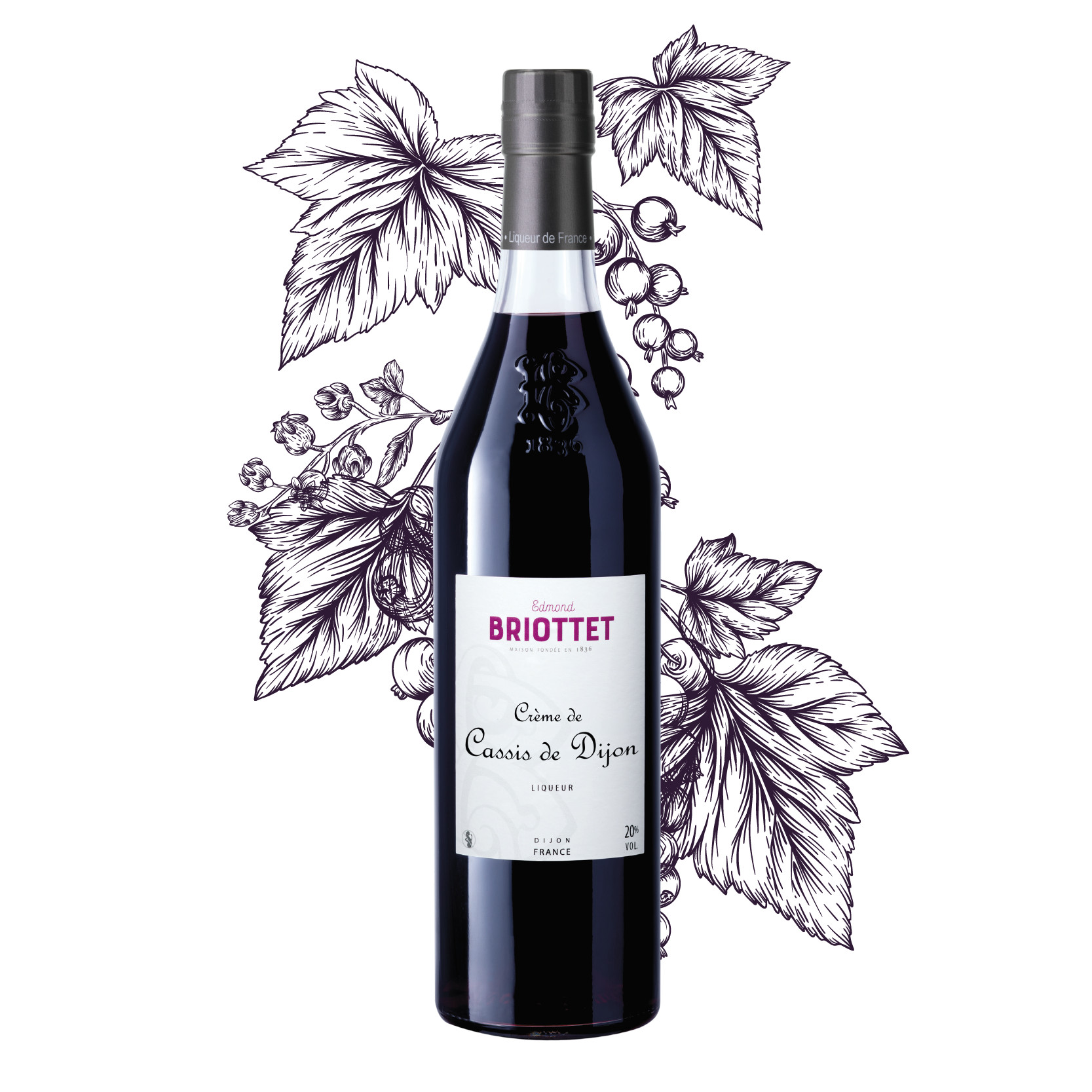 Cassis de Dijon, Blackcurrant liqueur