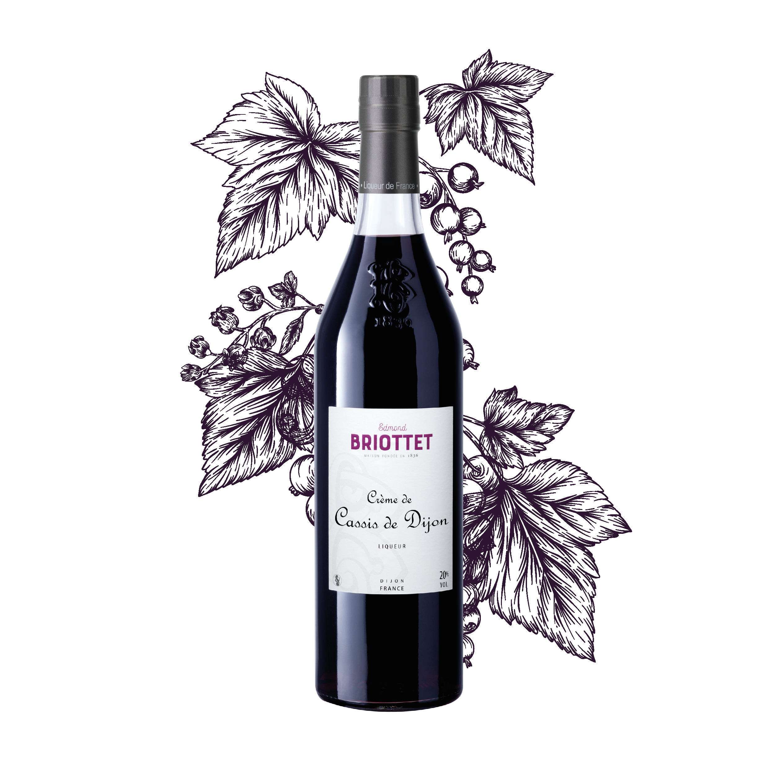 Cassis de Dijon, Blackcurrant liqueur