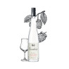 Bottle of Maison Briottet raspberry brandy, 45% alcohol by volume, 70cl, with two cocktail glasses and ice cubes
