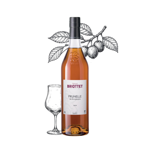 Bottle of Maison Briottet Burgundy Sloe Liqueur, 40% ABV, 70cl, with two cocktail glasses and ice cubes