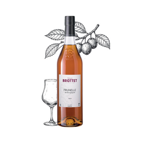 Bouteille de Liqueur de Prunelle de Bourgogne Maison Briottet, liqueur 40 % vol., 70cl, avec deux verres cocktails avec glaçons