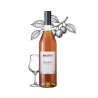 Bottle of Maison Briottet Burgundy Sloe Liqueur, 40% ABV, 70cl, with two cocktail glasses and ice cubes