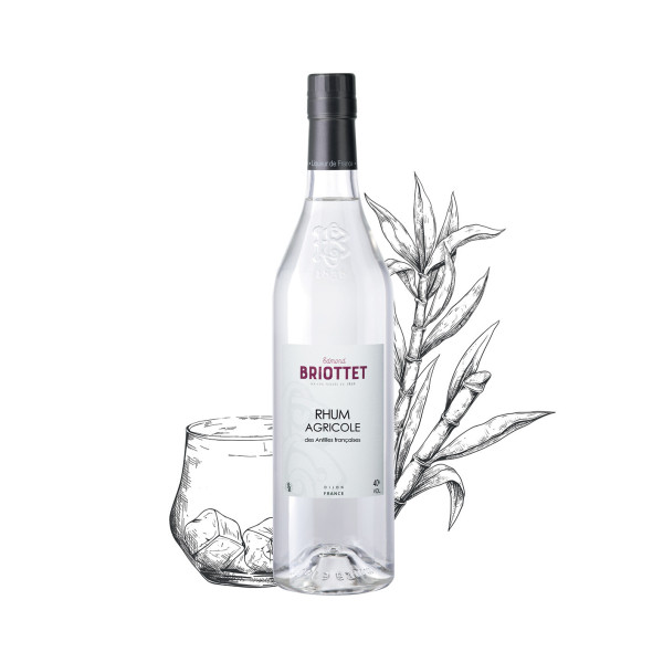 Bouteille de Rhum Agricole Maison Briottet, alcool 40% vol., 70cl, sur fond d'illustration de canne à sucre