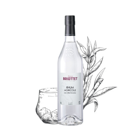 Bouteille de Rhum Agricole Maison Briottet, alcool 40% vol., 70cl, sur fond d'illustration de canne à sucre
