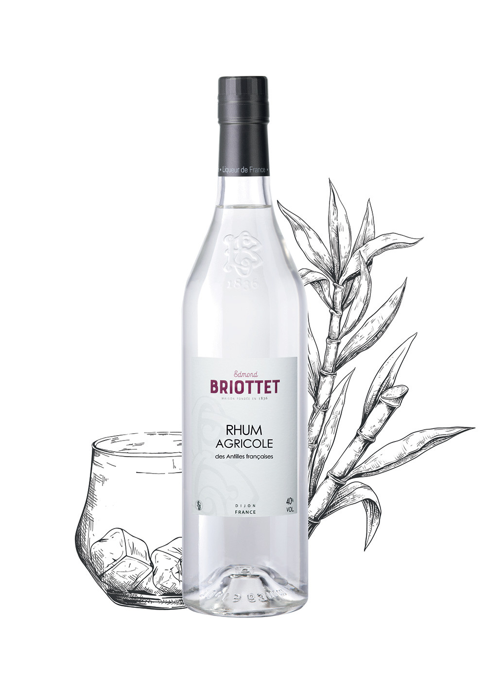 Bouteille de Rhum Agricole Maison Briottet, alcool 40% vol., 70cl, sur fond d'illustration de canne à sucre