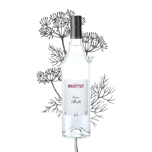 Bouteille de Liqueur d'Aneth Maison Briottet, liqueur 18% vol., 70cl, sur fond d'illustration d'aneth