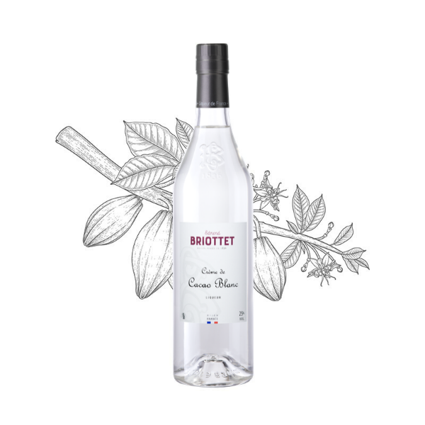 Bouteille de Crème de Cacao blanc Maison Briottet, liqueur 25% vol., 70cl, sur fond d'illustration avec des fêve de cacao