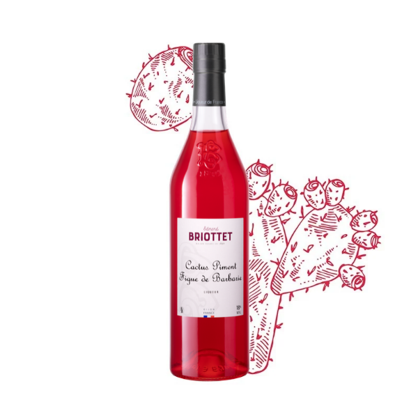 Bouteille de Liqueur de Cactus piment figue Maison Briottet, liqueur 18% vol., 70cl, sur fond d'illustration de cactus
